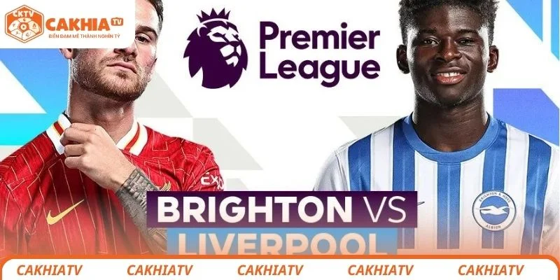 Đánh giá thông tin tổng quan về trận đấu giữa Liverpool vs Brighton